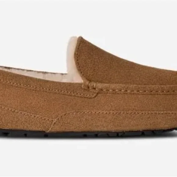 UGG Men display picture 1